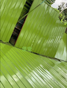 small_image