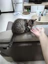 small_image