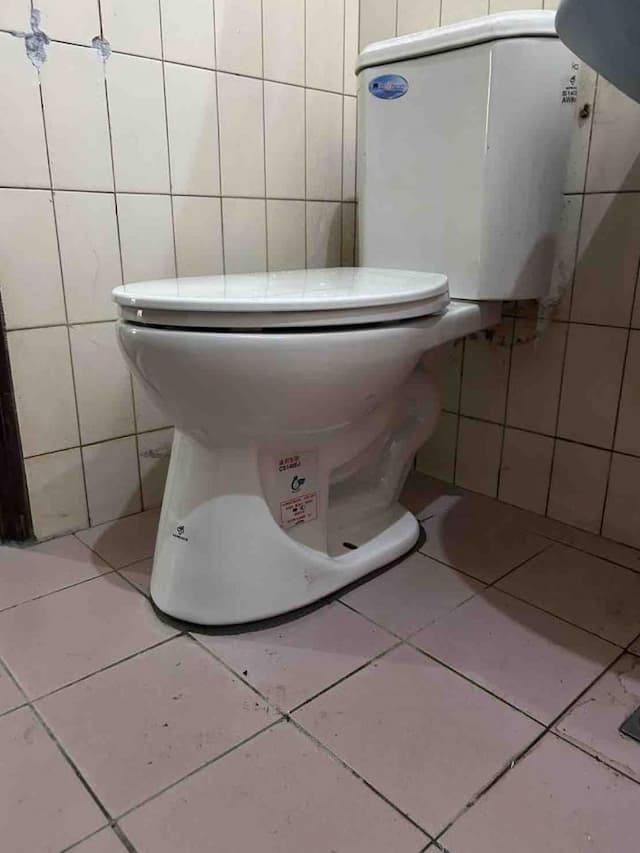 big_image