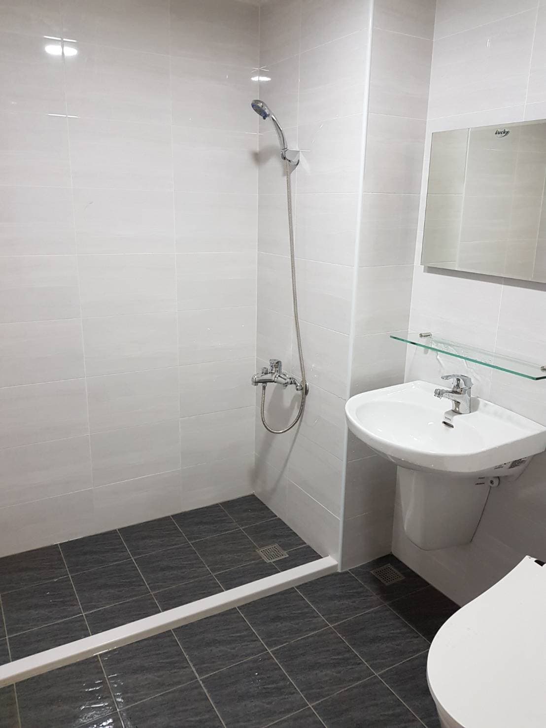 這張照片是一個浴室,最顯眼的部分是浴室地板上深色、有紋路的瓷磚。