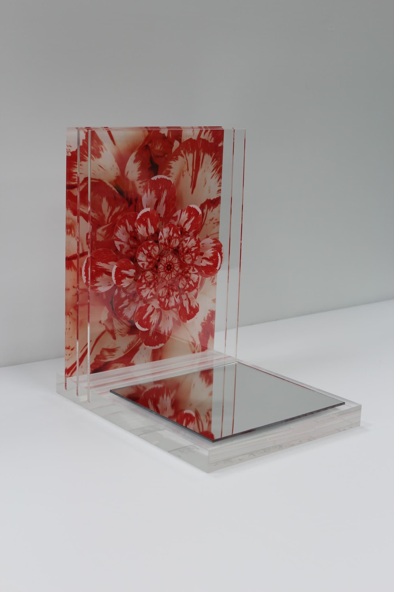 這張照片是一個透明的盒子,裡面有一朵紅色花卉的照片。盒子底部有一面鏡子,可以反射花卉的影像。花卉的顏色鮮豔,細節清晰,鏡子反射的光線讓花卉更加立體。