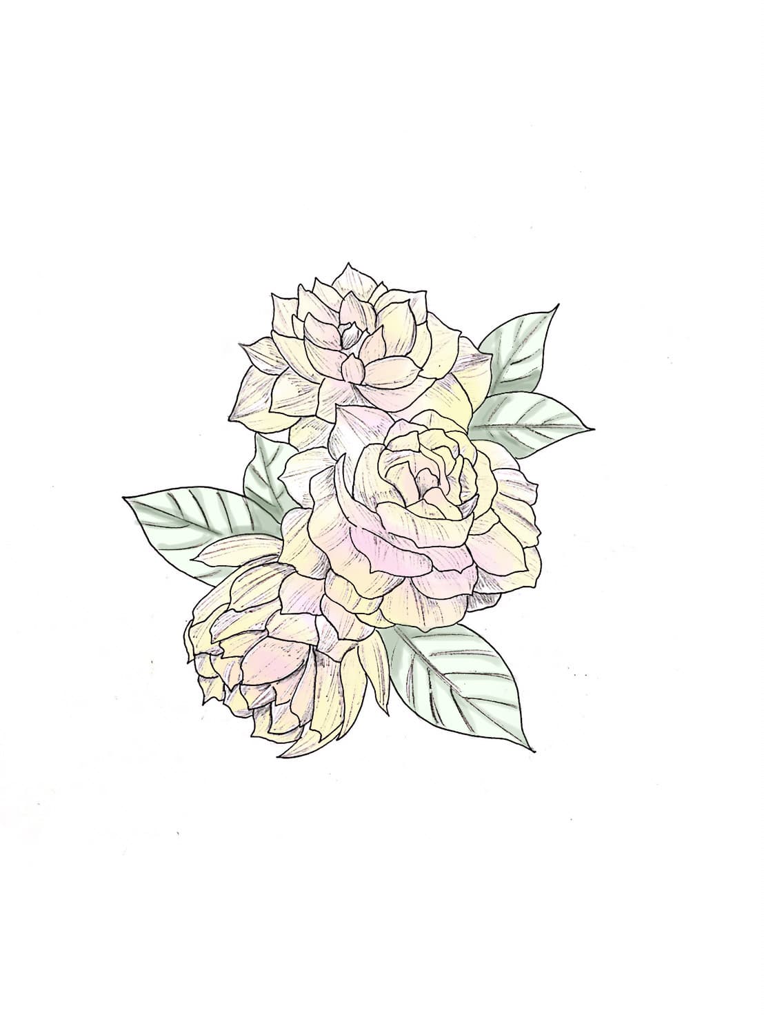 這張照片是三朵用鉛筆畫的玫瑰花,它們的花瓣看起來很柔軟,花心是粉色的,花瓣是黃色的。